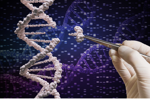 Synthetic Biology